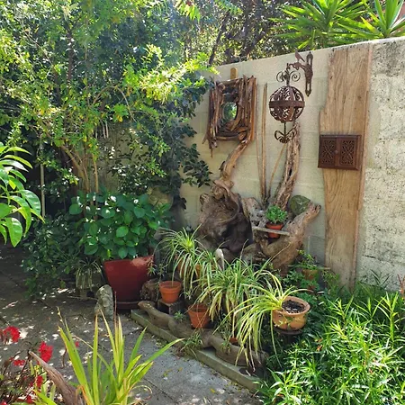 Maison De Charme A 3Mn A Pied De La Mer La Seyne-sur-Mer