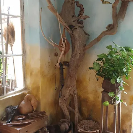 Maison De Charme A 3Mn A Pied De La Mer * La Seyne-sur-Mer